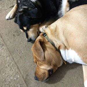 Meet your Posher, Darren